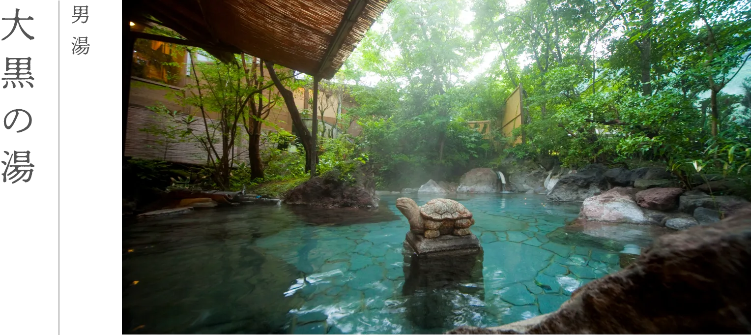 hot spring image